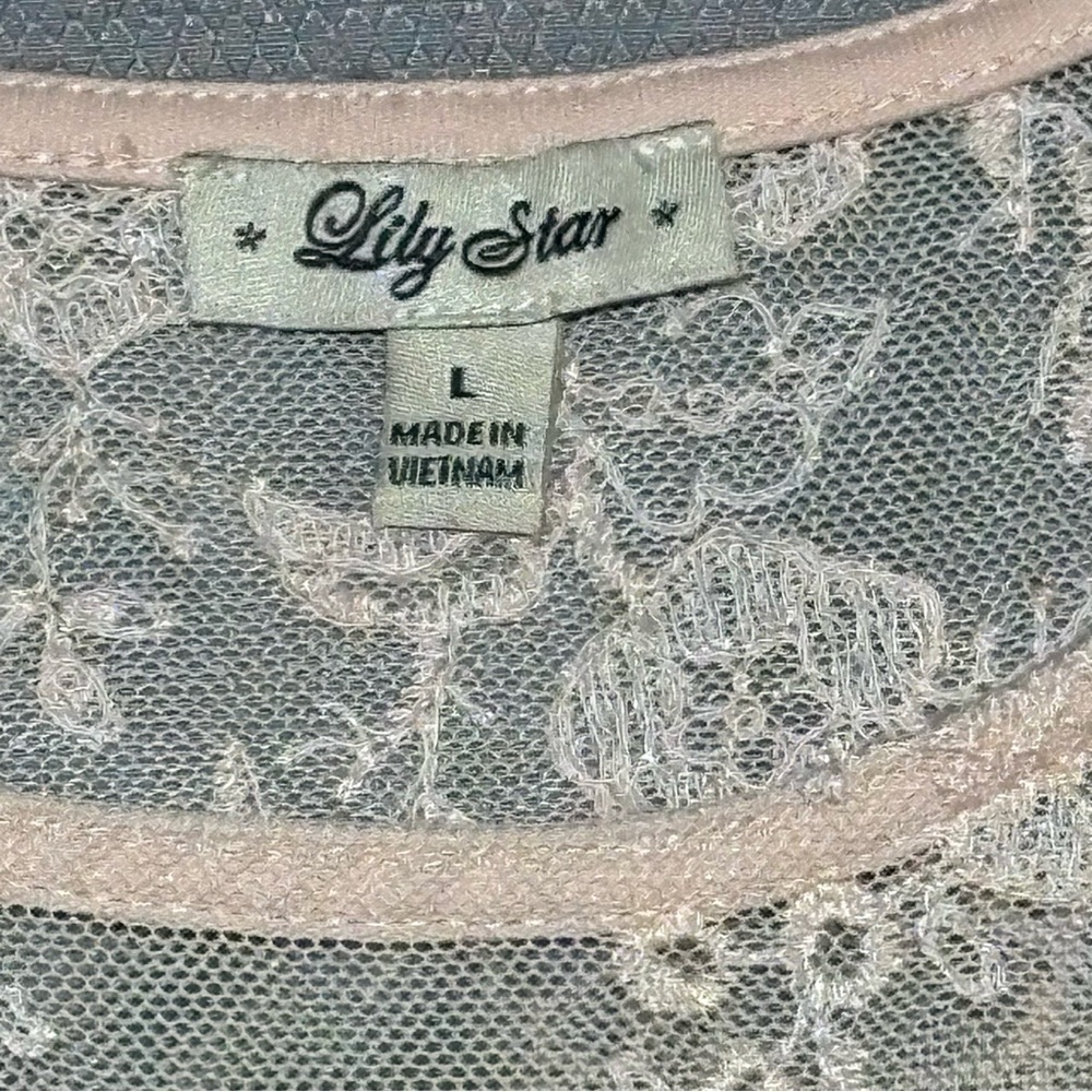 Lily Star sheer mesh lace romantic floral embroidery blouse airy lined womens L - Picture 2 of 8